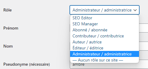 Capture d'écran 2023-06-05 174120